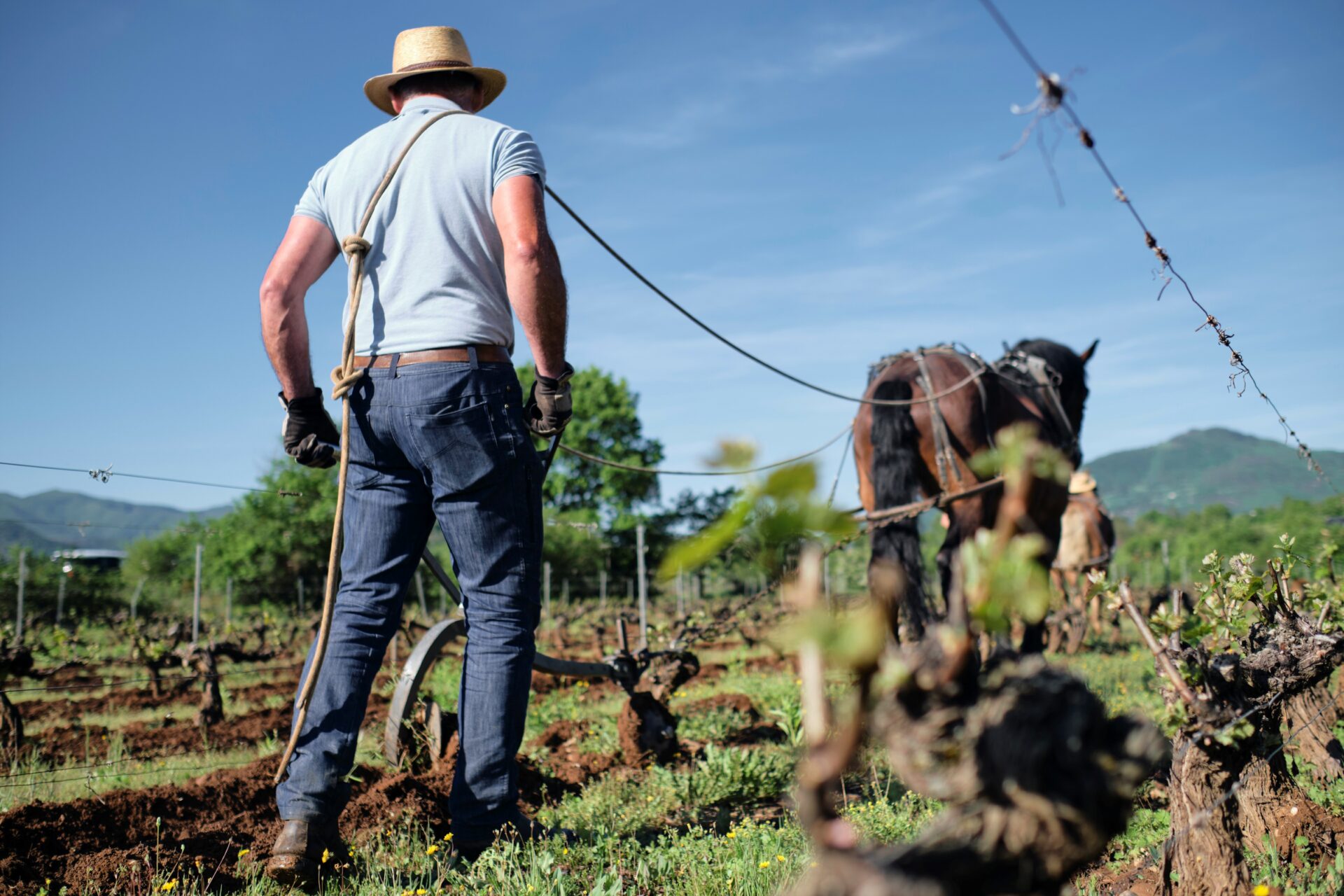 Visite du Domaine Allemand